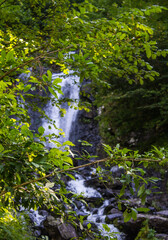 Obraz premium Flowing streams of a milky waterfall in Abkhazia among green trees in a national park on a sunny summer day and copy space. Travel concept