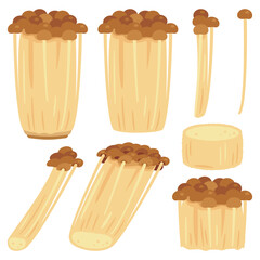 ブラウンえのき