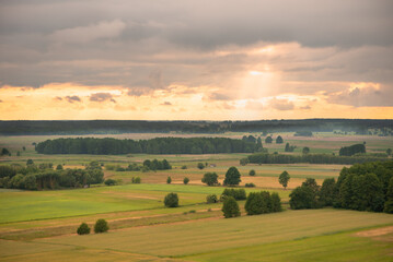 Obraz premium The cat peeks out from behind the fence