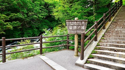 栃木県日光市の竜頭ノ滝