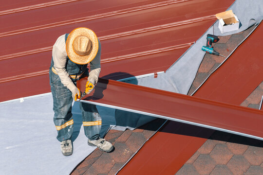 Professional construction worker changing the roof membrane of a building with metal roof sheet. Worker making maintenance on roof. Building renovation. Aluminum or steel roofing,