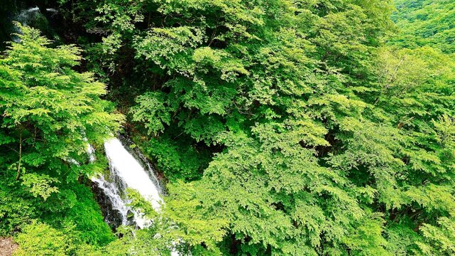 栃木県日光市の涅槃の滝