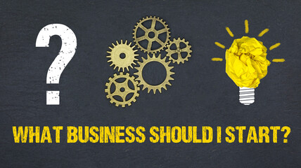 What Business Should I Start?	