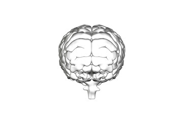 Digital png illustration of 3d brain model on transparent background