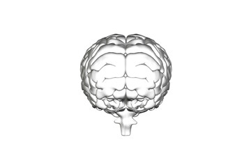 Digital png illustration of 3d brain model on transparent background