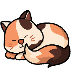 CAT41