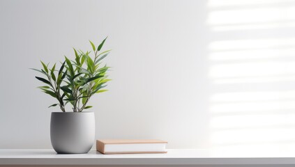 wall art mockup with green plant, white wall and shelf