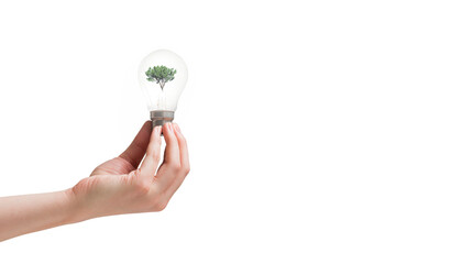 Digital png illustration of hand holding light bulb with tree on transparent background