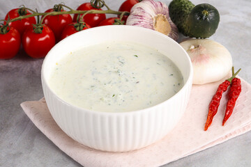 Traditional delicious appetizer; greek tzatziki (Turkish name; cacik)
