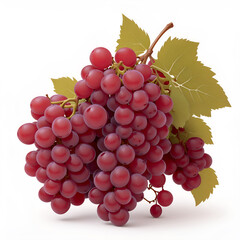 Red grapes bunch. Winery object, realistic grape isolated on white background. Fresh farm raw ingredient illustration. Black grapes bunch. purple grapes bunch