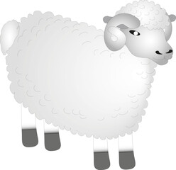 Illustration of one ram on a white background. Pet ram