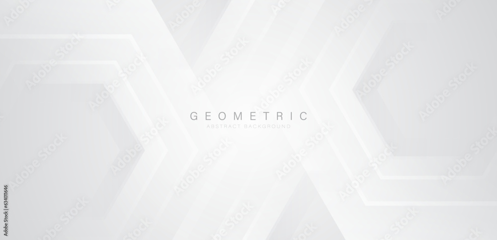 Poster white and grey abstract background. modern geometric hexagon shape overlay layer elements. geometric