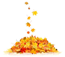 pile of autumn leaves isolated on white background - 634016899