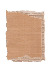 cardboard page blank paper mockup