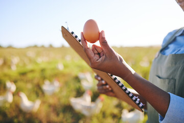 Hand of woman on farm with egg, inspection and chickens, clipboard and sustainable small business...