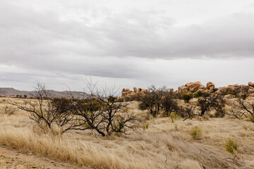 A beautiful landscape with a meadow with dry grass, bushes, large rocks and blue mountains in the...