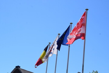 Flags of Belgium and the Region - obrazy, fototapety, plakaty