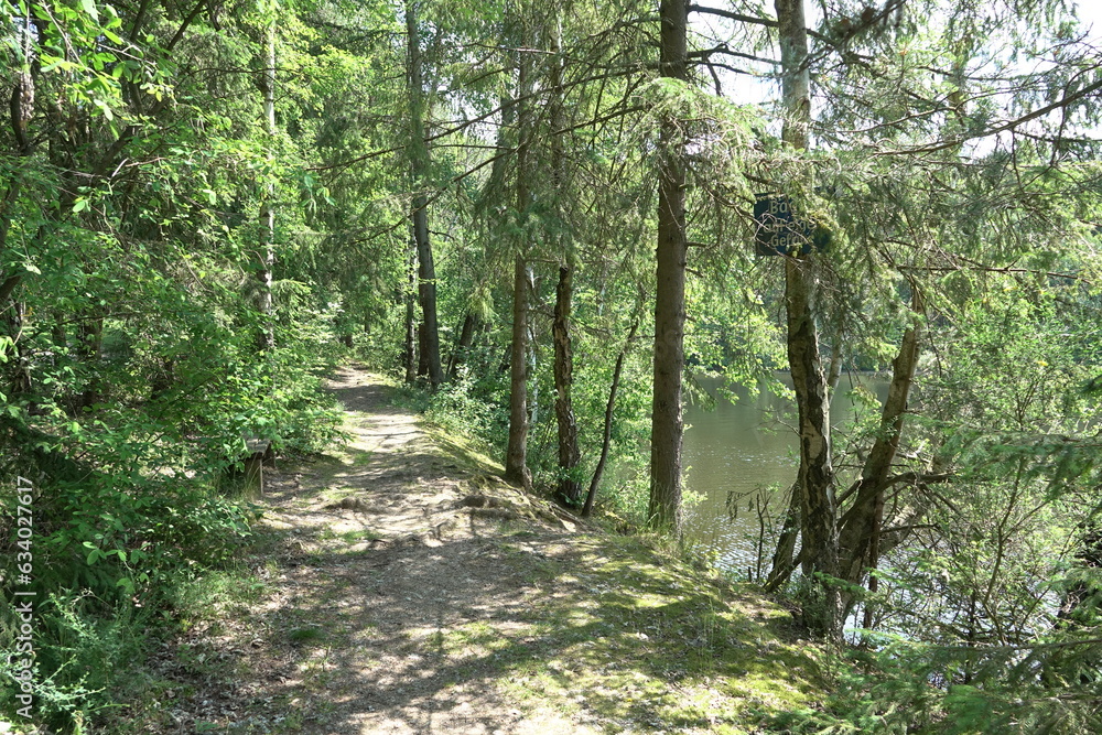 Canvas Prints weg am waldsee argenthal im hunsrueck