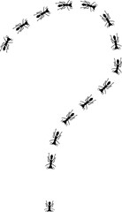 Ant silhouettes trail illustration in shape of question mark. disinfection concept.