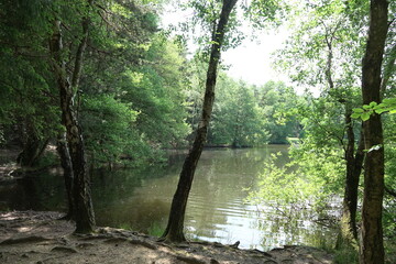 Waldsee Argenthal im Hunsrueck