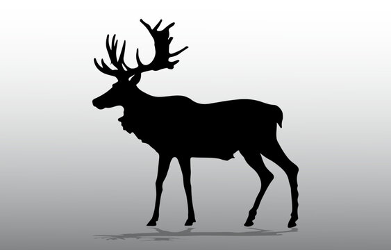 deer silhouette vector © ต' ต๊ะ