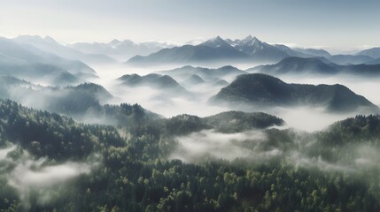 beautiful mountain landscape with forest and fog Generative AI, AI Generated