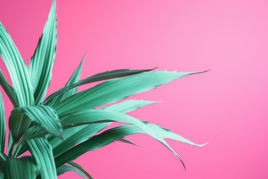 Green plants on pink background banner