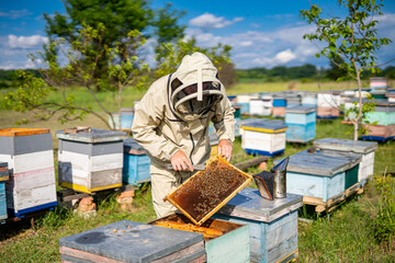 A beekeeper inspecting a beehive in a protective suit. A man in a bee suit inspecting a beehive