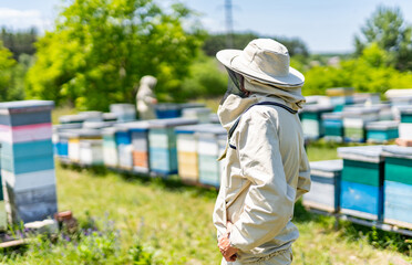 A man in a hat standing in front of a row of beehives