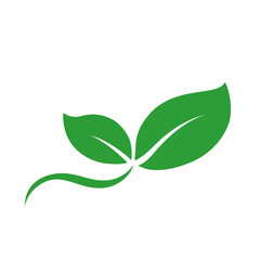 green eco icon with two leaves