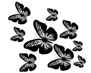  silhouette set of butterflies