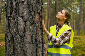 forest inspection and management, renewable resources. female forestry technician checking quality...