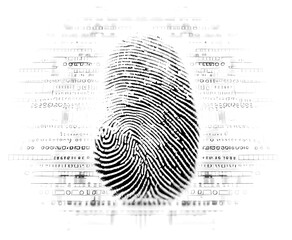 Black and white fingerprint surrounded by faint data lines concept, computer generated fingerprint, not an actual person