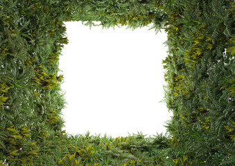 Frame decorated with tropical plants on transparent background