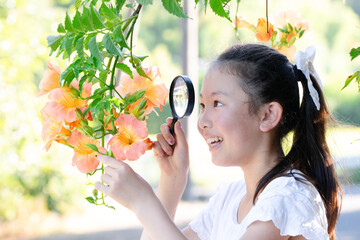 虫眼鏡で花を見る少女