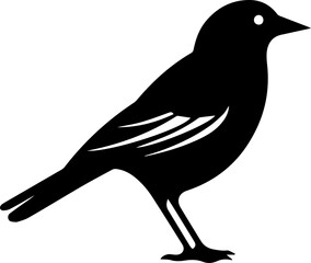 Jackdaw Bird Icon