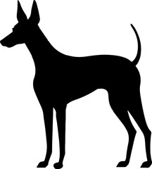 Ibizan Hound Icon
