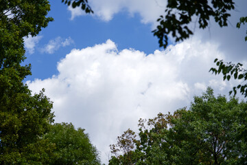 Fototapeta premium cloudy sky. white and fluffy clouds with a blue background.