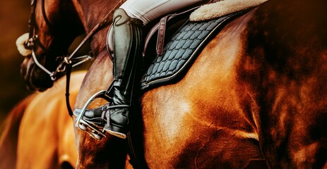 A high boot-clad rider's leg in a stirrup, mounted on a chestnut horse. Equestrian sport and the...