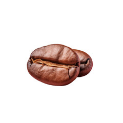 Close up of a solitary coffee bean