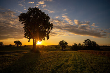 sunrise over the brandenburg countryside