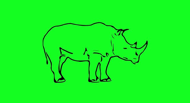 Greencreen video cartoon animal sketches walking and running	