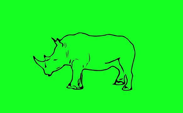 Greencreen video cartoon animal sketches walking and running	