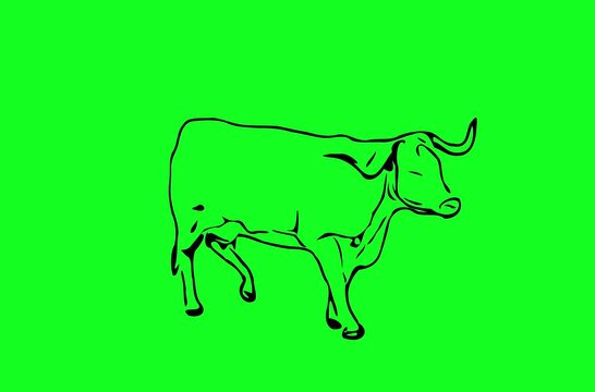 Greencreen video cartoon animal sketches walking and running	