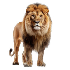 Lion generative ai 