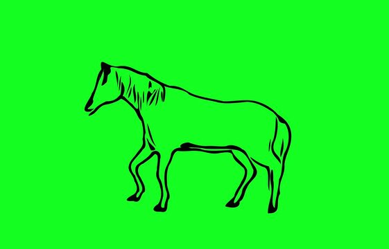 Greencreen video cartoon animal sketches walking and running	