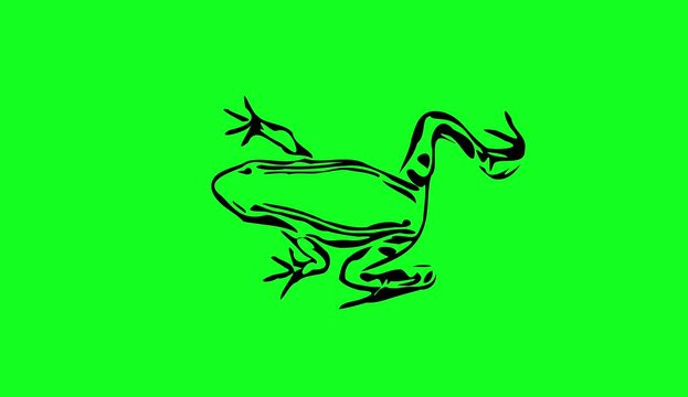 Greencreen video cartoon animal sketches walking and running	