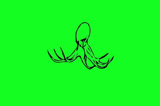 Greencreen video cartoon octopus sketches was swimming