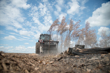 agricultura