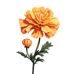 Marigold flower rests on dark digital artwork